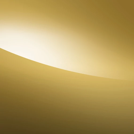 BF SG TÜKÖR GOLD 100µ vágható